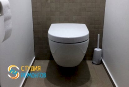 Капитальный ремонт туалета 2,5 кв.м.